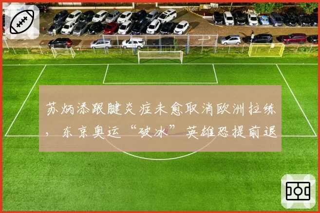 苏炳添跟腱炎症未愈取消欧洲拉练,东京奥运“破冰”英雄恐提前退役?