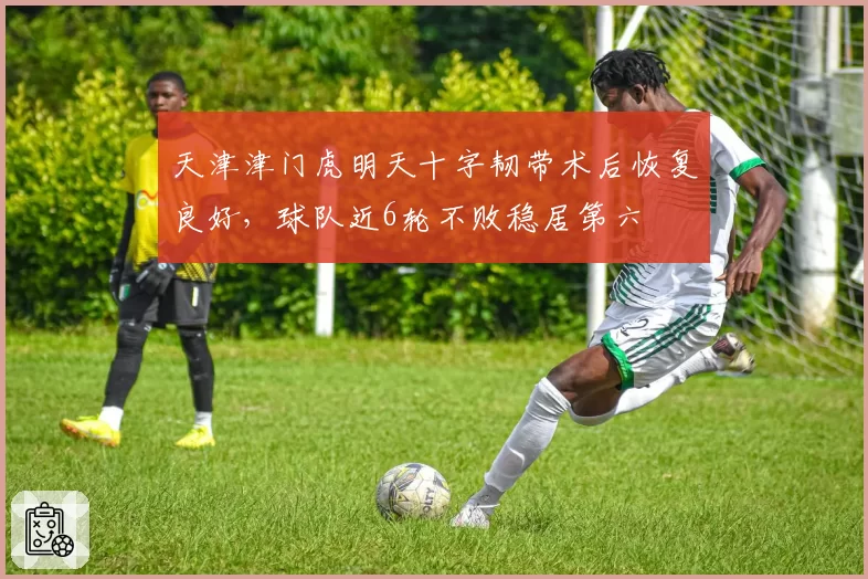 天津津门虎明天十字韧带术后恢复良好,球队近6轮不败稳居第六